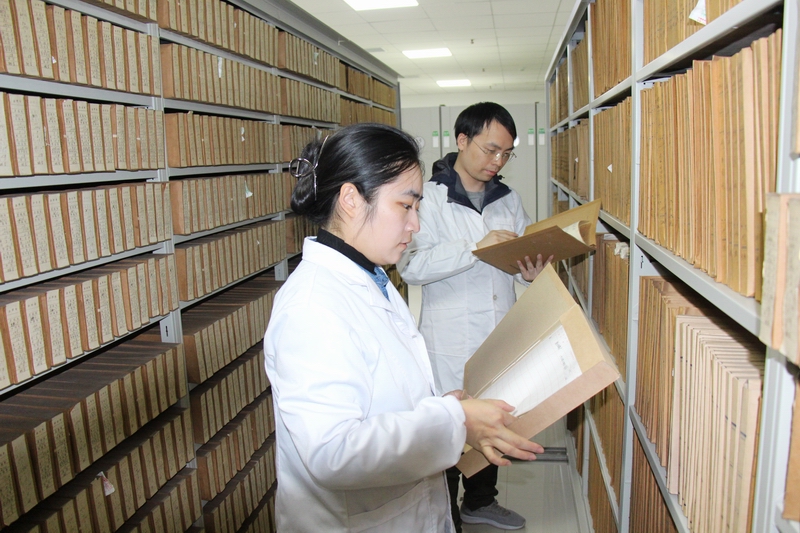 圖片新聞——檔案工作攝影