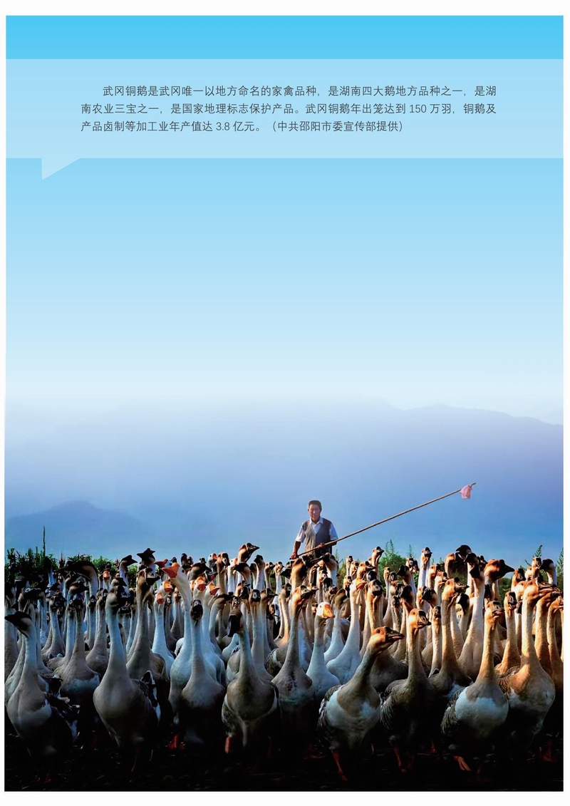迎接黨的二十大勝利召開——邵陽建設(shè)圖文展