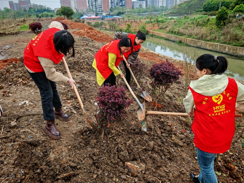 共赴“綠色之約”——市檔案館開展義務(wù)植樹活動(dòng)