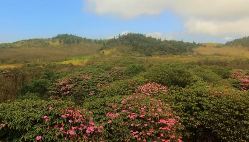 穿越荒野：23年前的十萬古田考察記